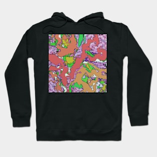 Modified horses 2 Hoodie